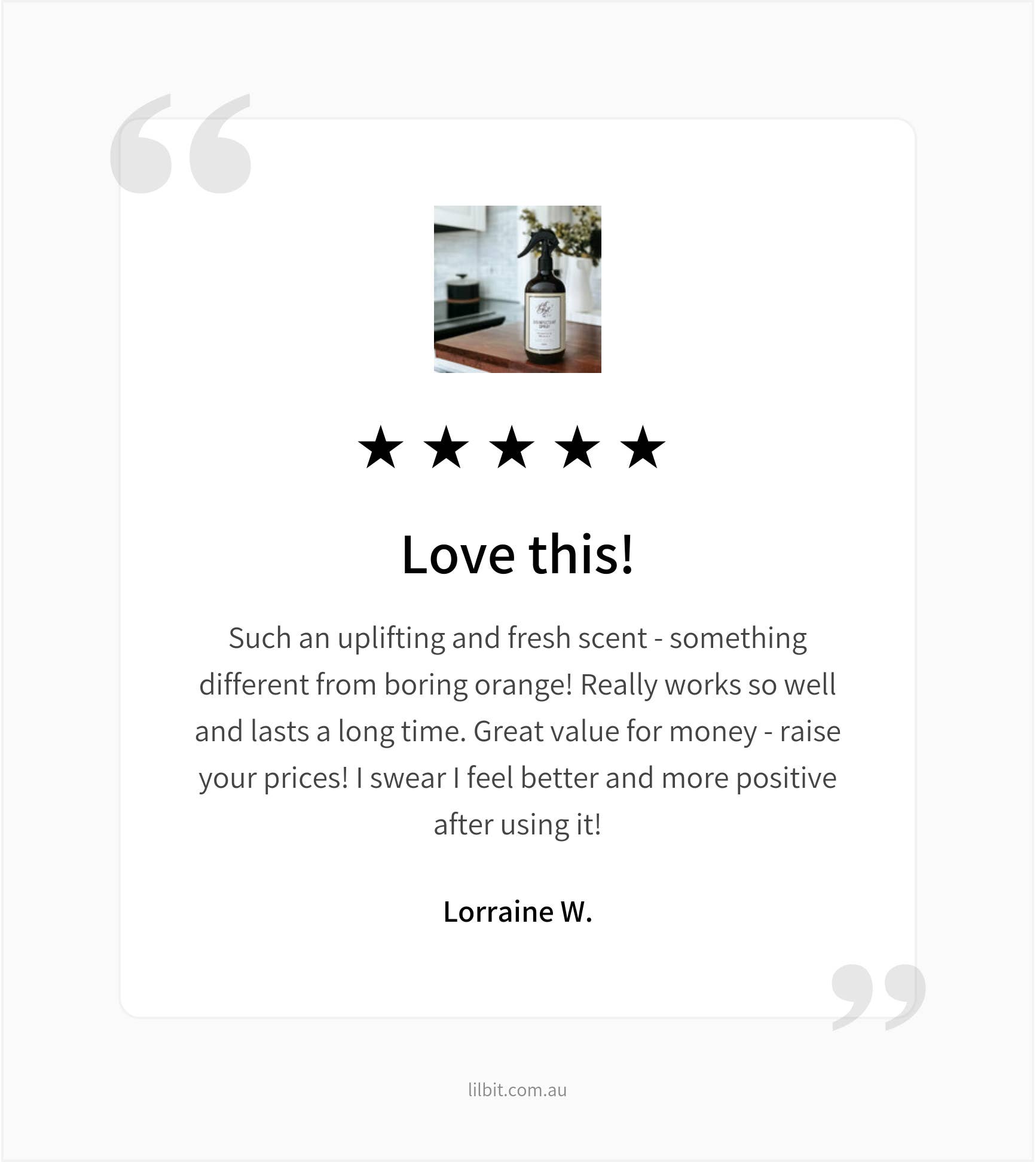 Lil'Bit Better - Wholesale All-Purpose Cleaning Spray - Niaouli & Myrtle Disinfectant Spray 500ml - Organic 1