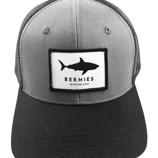 Shark for wholesale by Bermies
