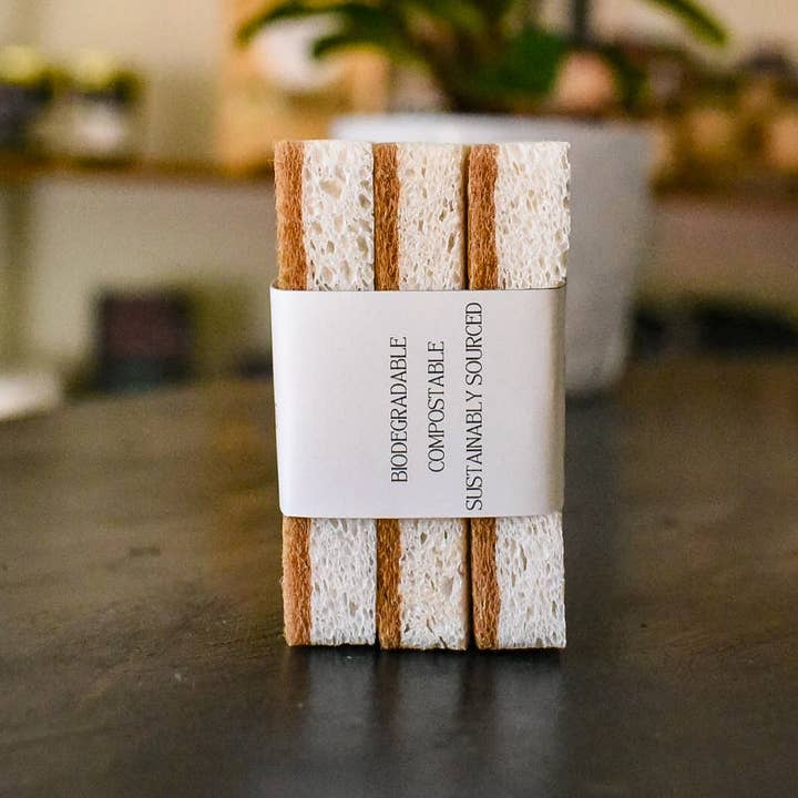 Still Magnolia - Wholesale Cleaning Sponge - All Natural Sponges - Set of 31