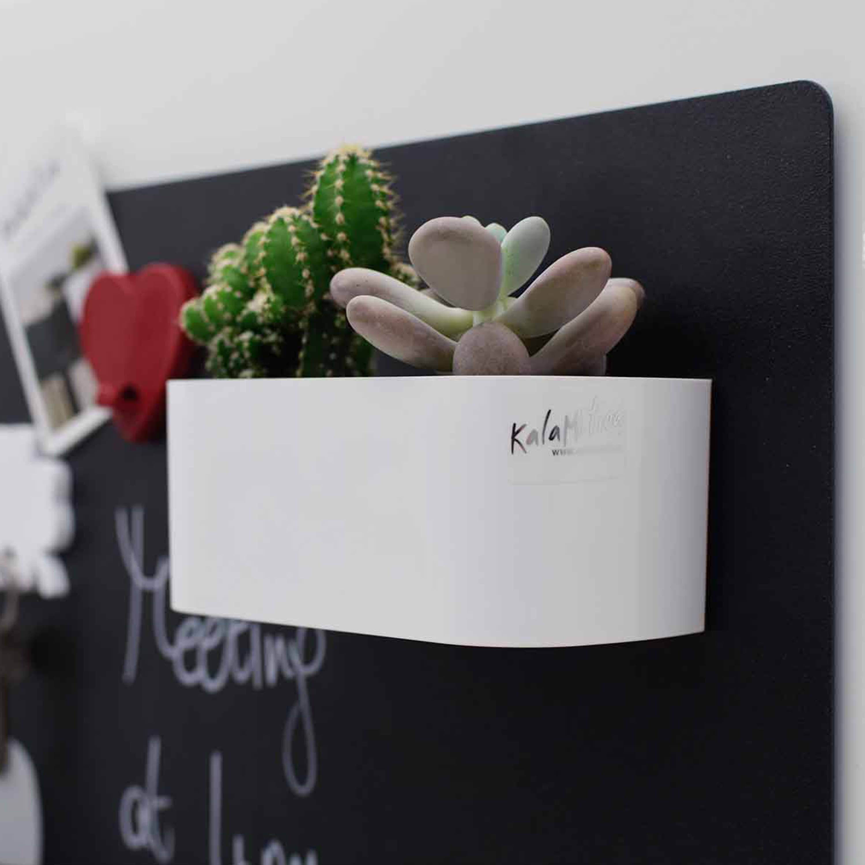 KalaMitica Magnetic System - Wholesale Magnet - Magnetic Container, 13.8 cm, White, Strong Neodymium Magnet