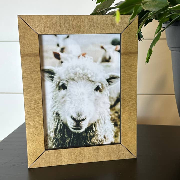 Maravilha Wooly por atacado de Farmhouse Decor & Co.