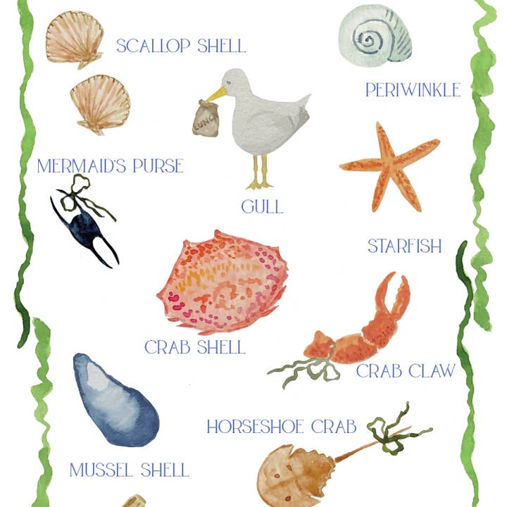 Beach Scavenger Hunt Game for wholesale by Cedar Street Stationery