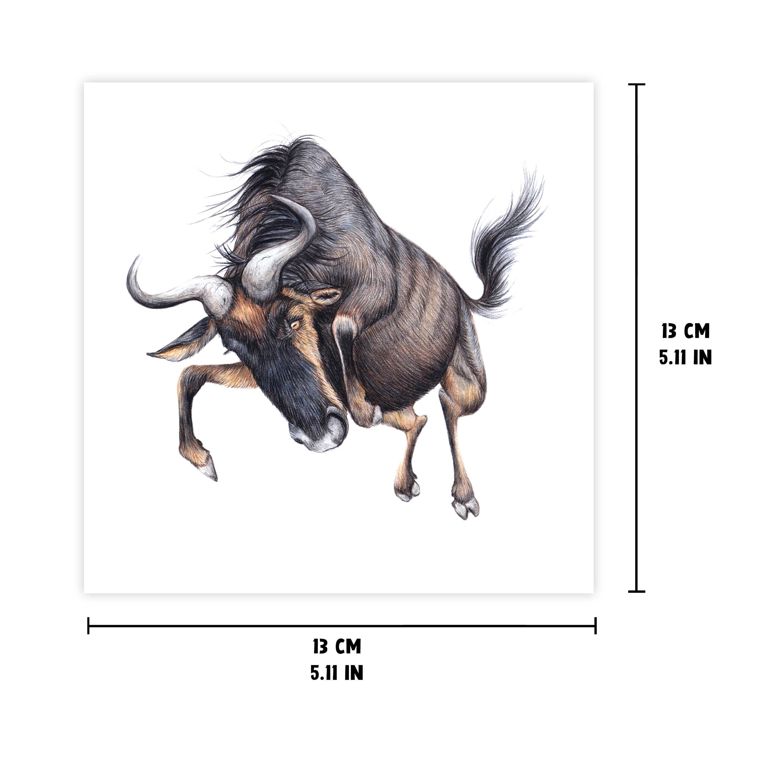 Beast of Paradise - Wholesale Everyday Greeting Card - Wildebeest, Gnu Greeting Card, Animal Birthday Card, Blank2