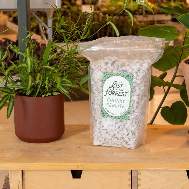 Lost in the Forrest - Wholesale Planting/Potting Soil - LITF Perlite