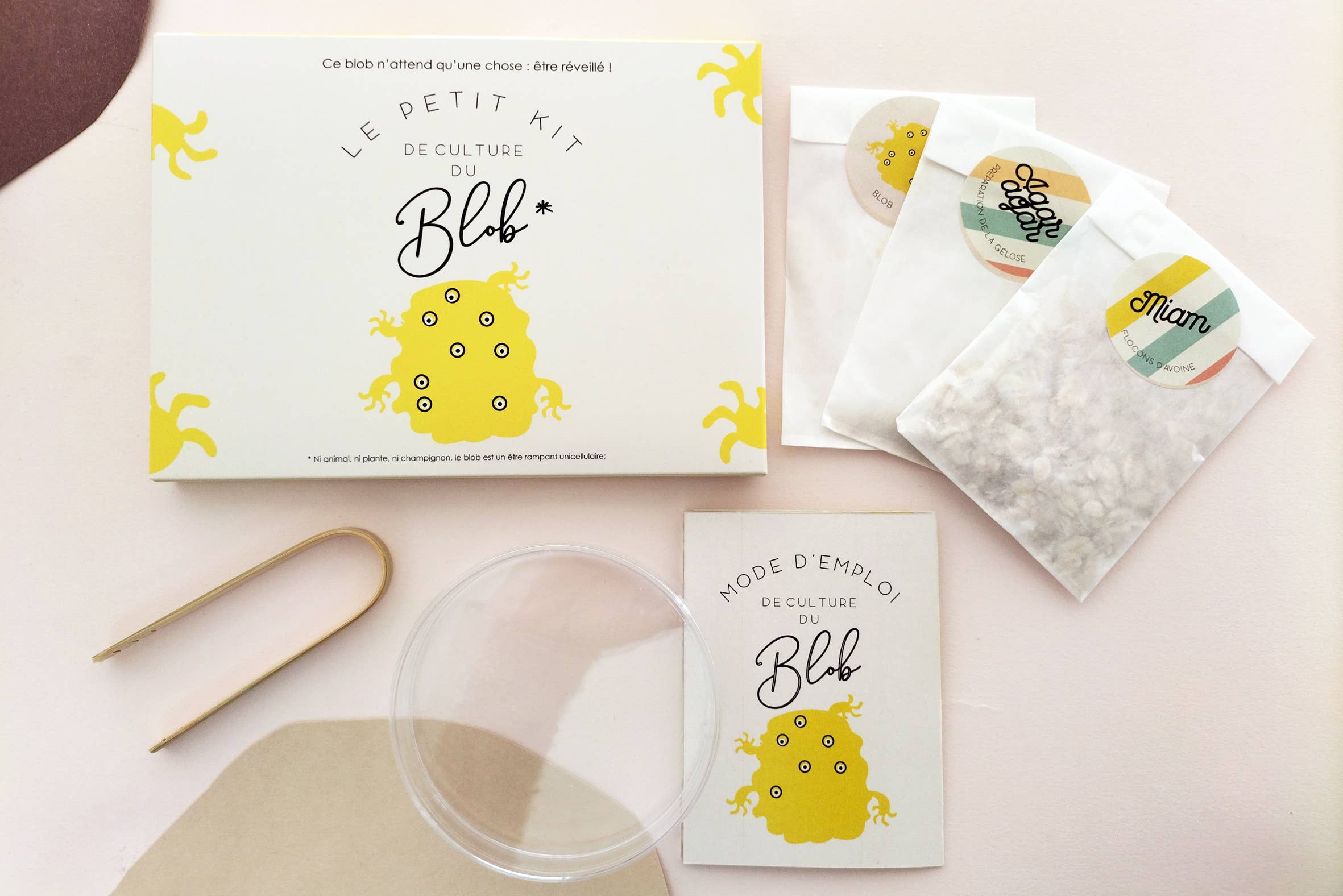 Pamela Loops - Wholesale DIY Craft Kit - Kids - Kit de culture de Blob0