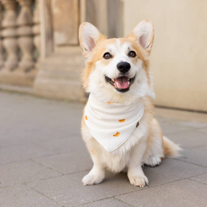 Lieblingspfote - Wholesale Pet Bandana - Dog - Muslin Scarf "CROISSANTS"