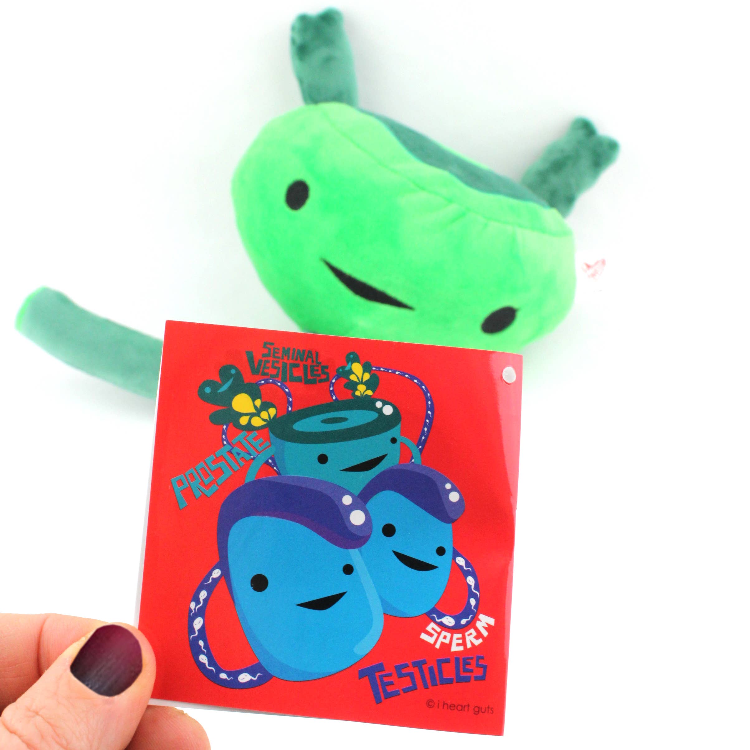 I Heart Guts | Organ Plushies Wholesale – Engroshandel Plyslegetøj - Børn og baby – Prostata Plush - Et skelsættende arbejde6