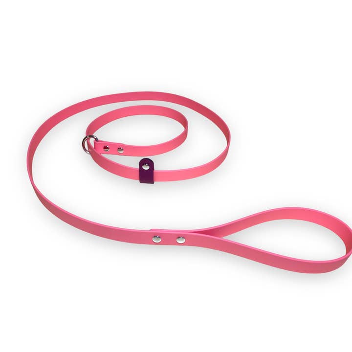 Laisse antidérapante imperméable pour chien pour la vente par LUCK OF TUCK