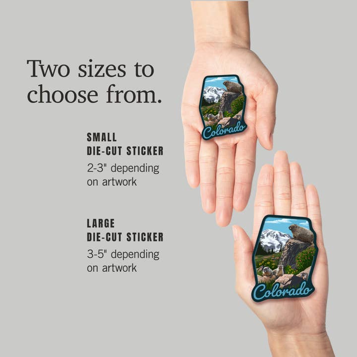 Lantern Press - Wholesale Sticker - STICKERS Colorado, Marmots 25