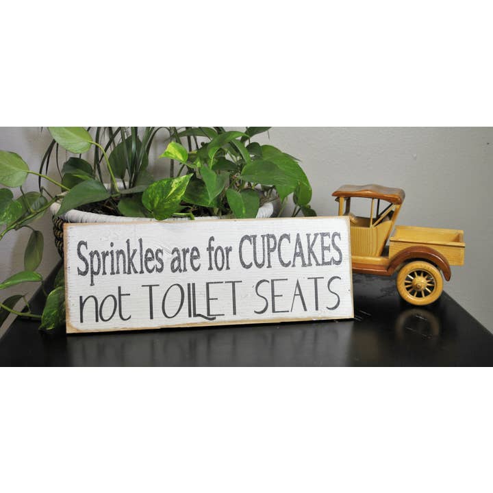 6 x 16 sprinkles are for cupcakes not toilet seats for wholesale by Boulder Innovations