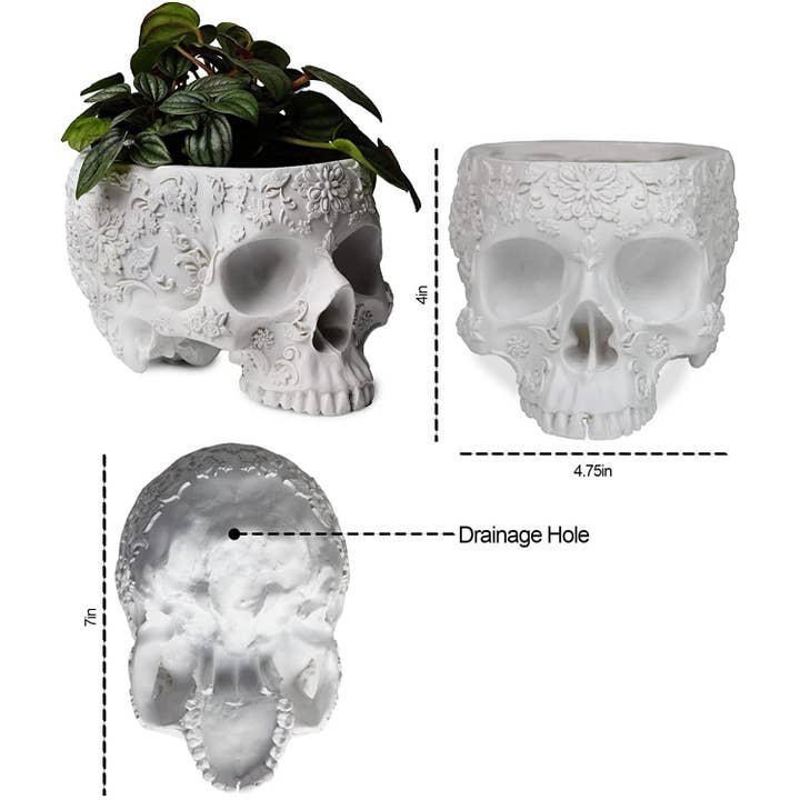 The Wine Savant / Khen Glassware - Wholesale Plantenpot - Skull Plant Planter 6" H Polyresin Skull - Halloween, Herfst5