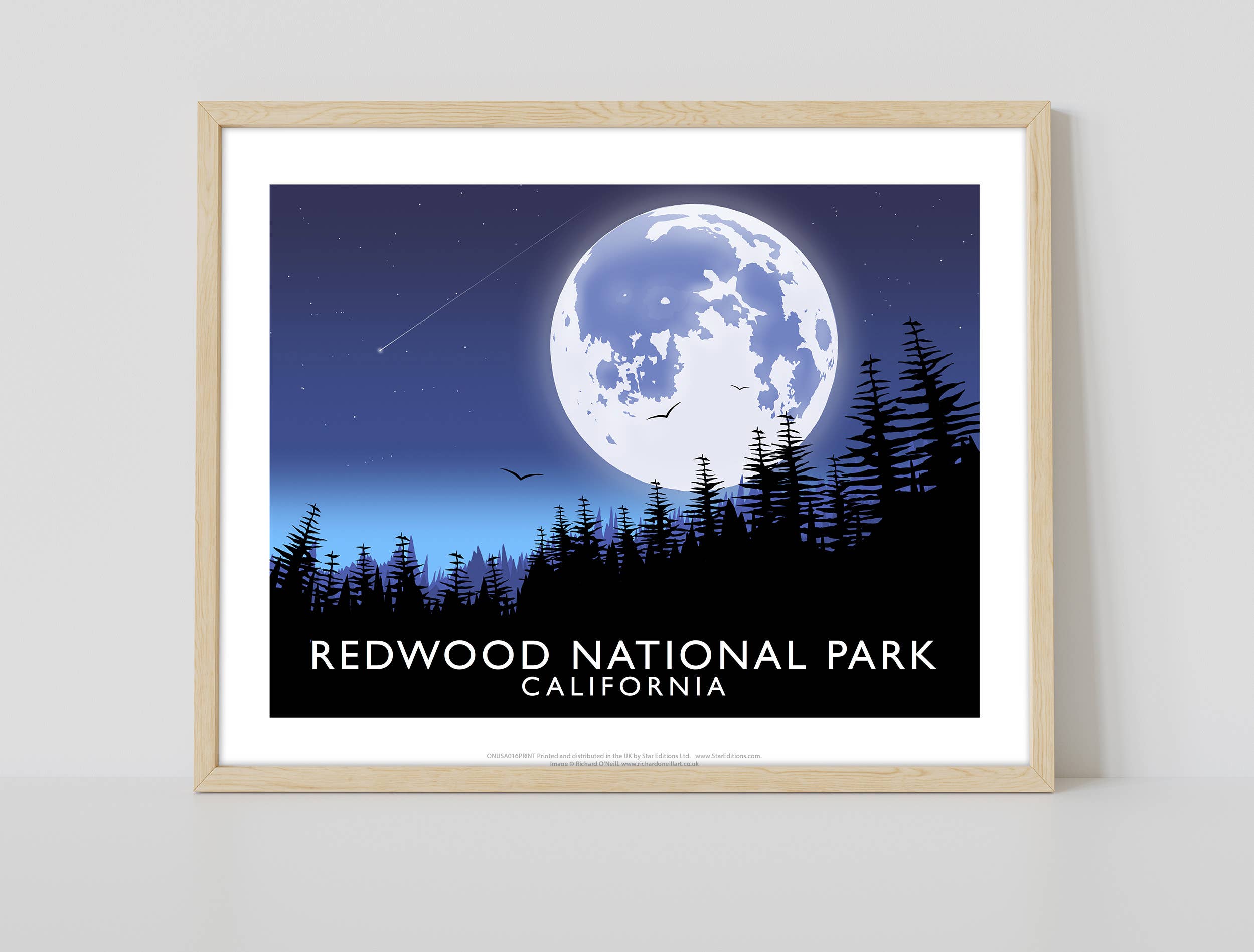 Star Editions - Wholesale Art Print - Redwood National Park, California -Richard O'Neill Art Print1