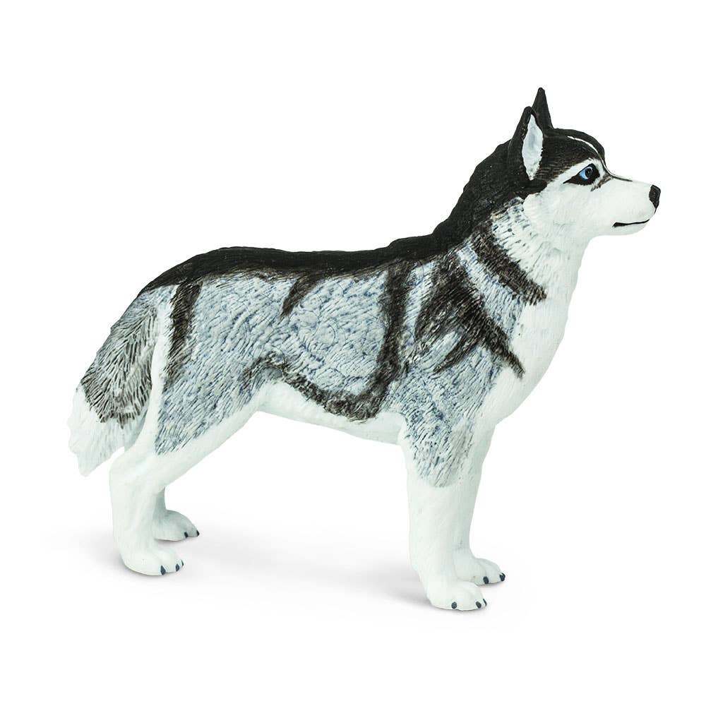Safari Ltd. - Wholesale Decorative Figurine - Siberian Husky - 2552294