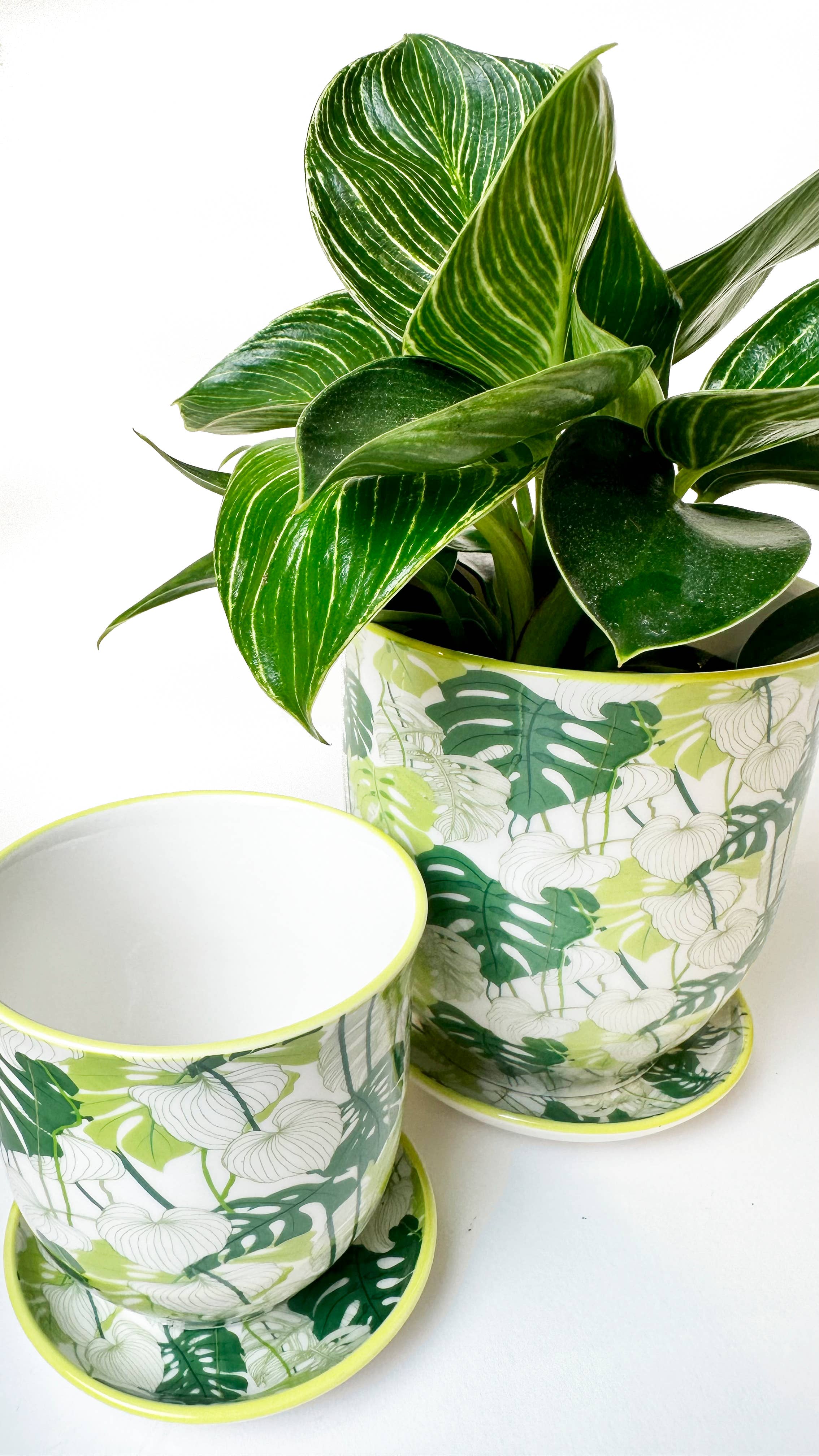 Chive UK - Vente Pot - Liberte 5 - Pot en porcelaine émaillée, motifs variés10
