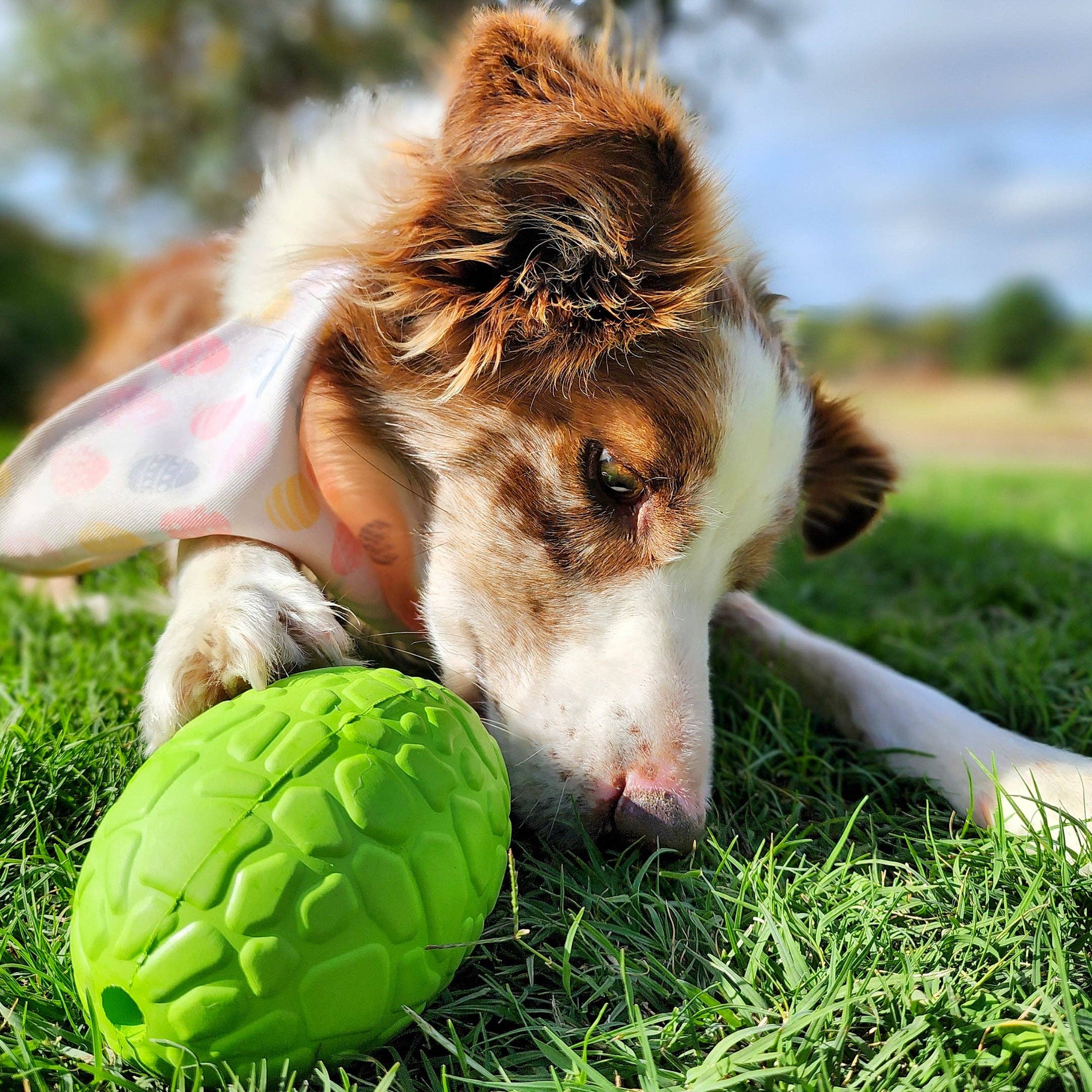 Green Dinosaur Egg - Chew and Enrichment Toy for wholesale on Faire3