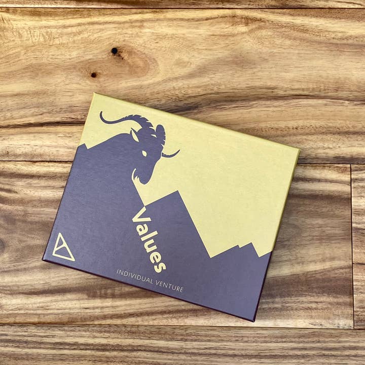 Values: Individual Venture for wholesale by Bolster Leadership