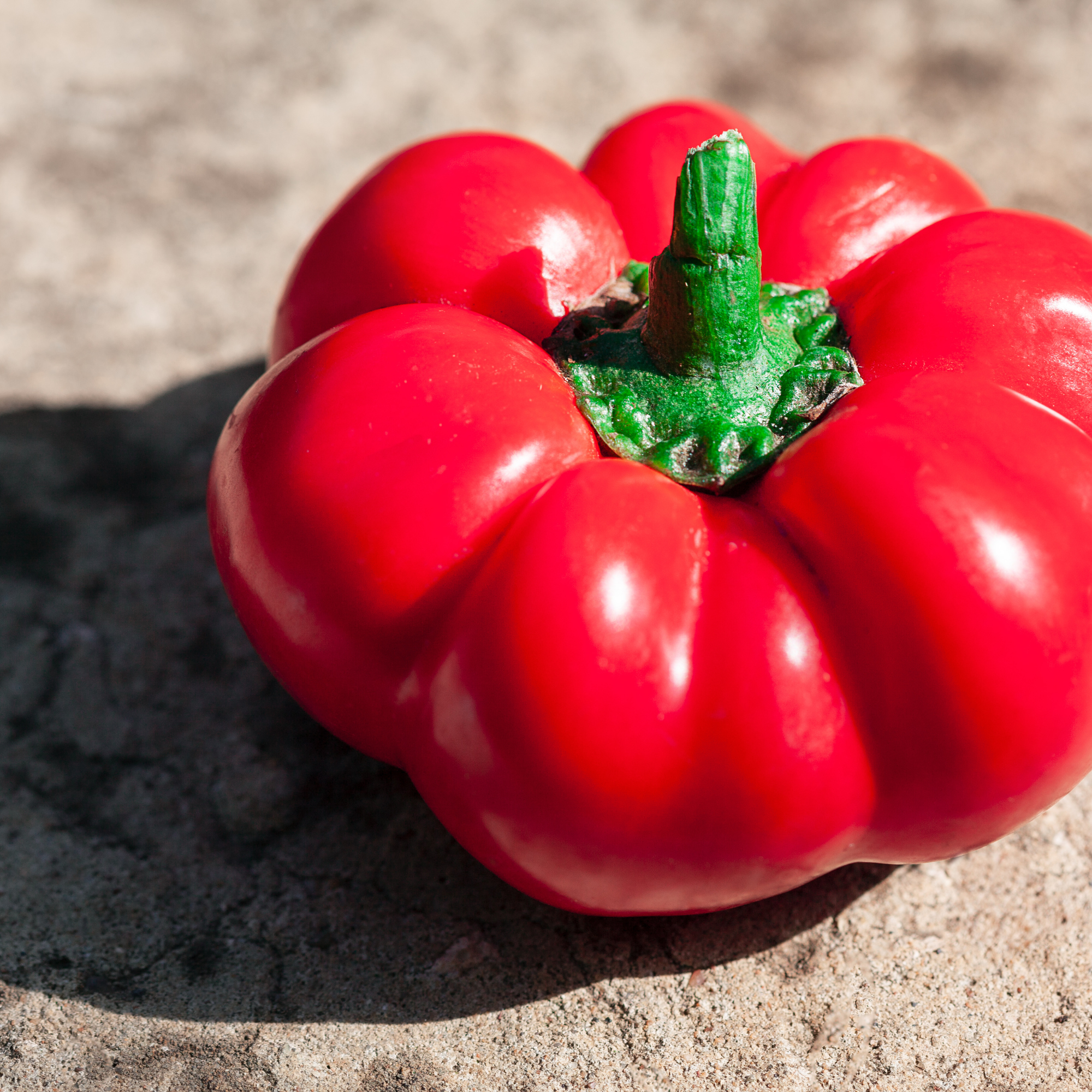 Sow the Magic - Wholesale Plant Seeds - Ashe County Pimento Sweet Pepper Tarot Seed Packet1