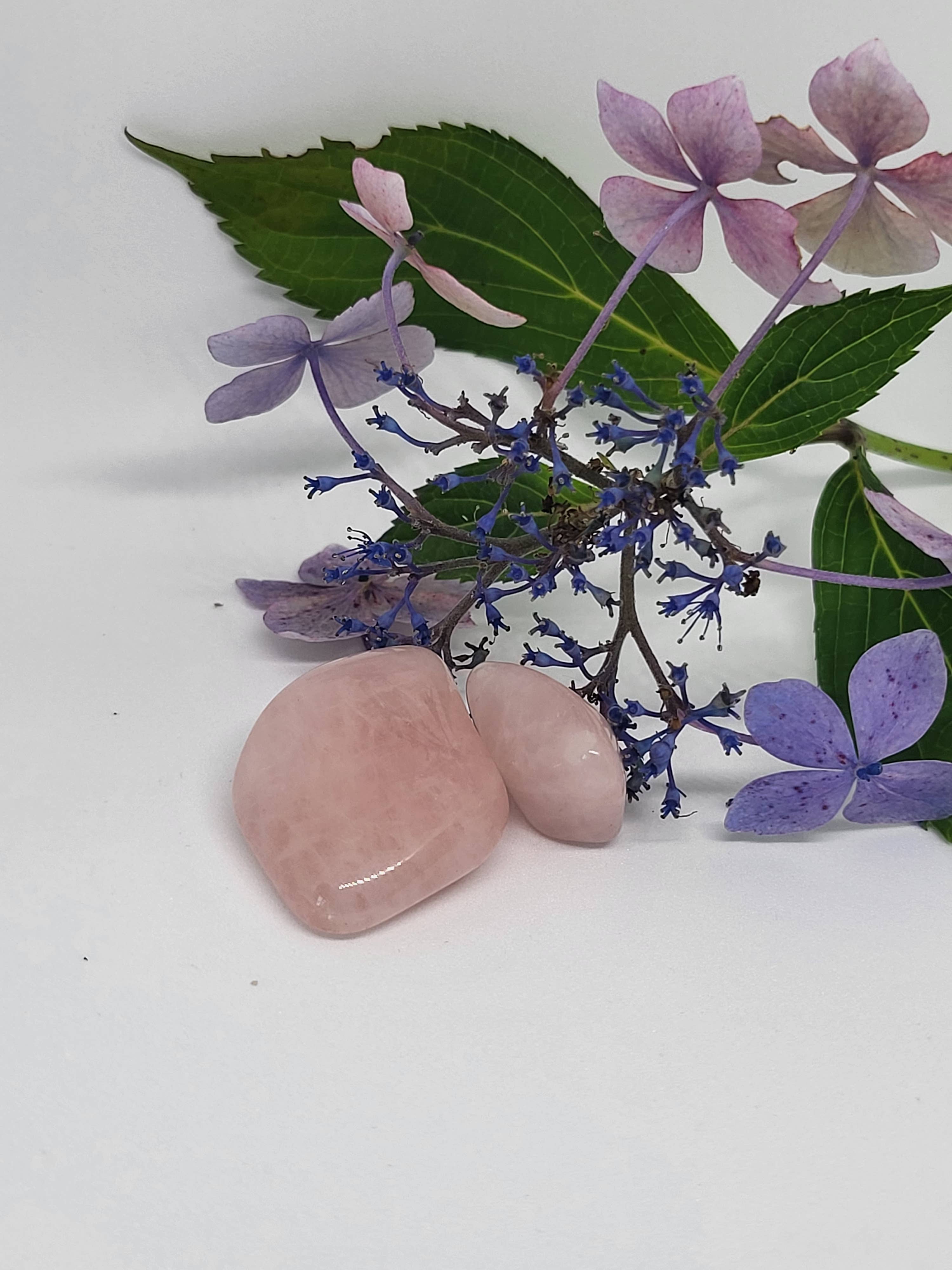Crystal Cove – wholesale Spiritual stone/crystal – Rose Quartz0