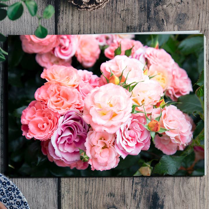 Greeting Card - Portland Rose Garden for wholesale by Nicole Mark Photography