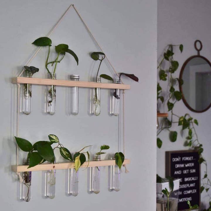 The Plant Committee - Wholesale Wall Planter - Hanging Propagation Station | Wall Vase | Pick your size