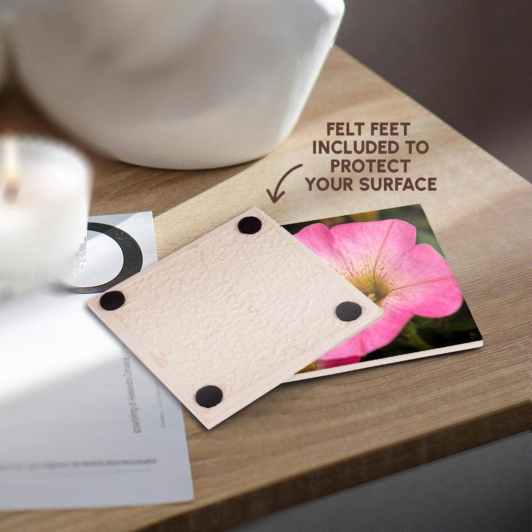 3dRose – wholesale Coasters – 3dRose, Pink petunia flower. A bug drinks rainwater from inside the plant, Coaster3