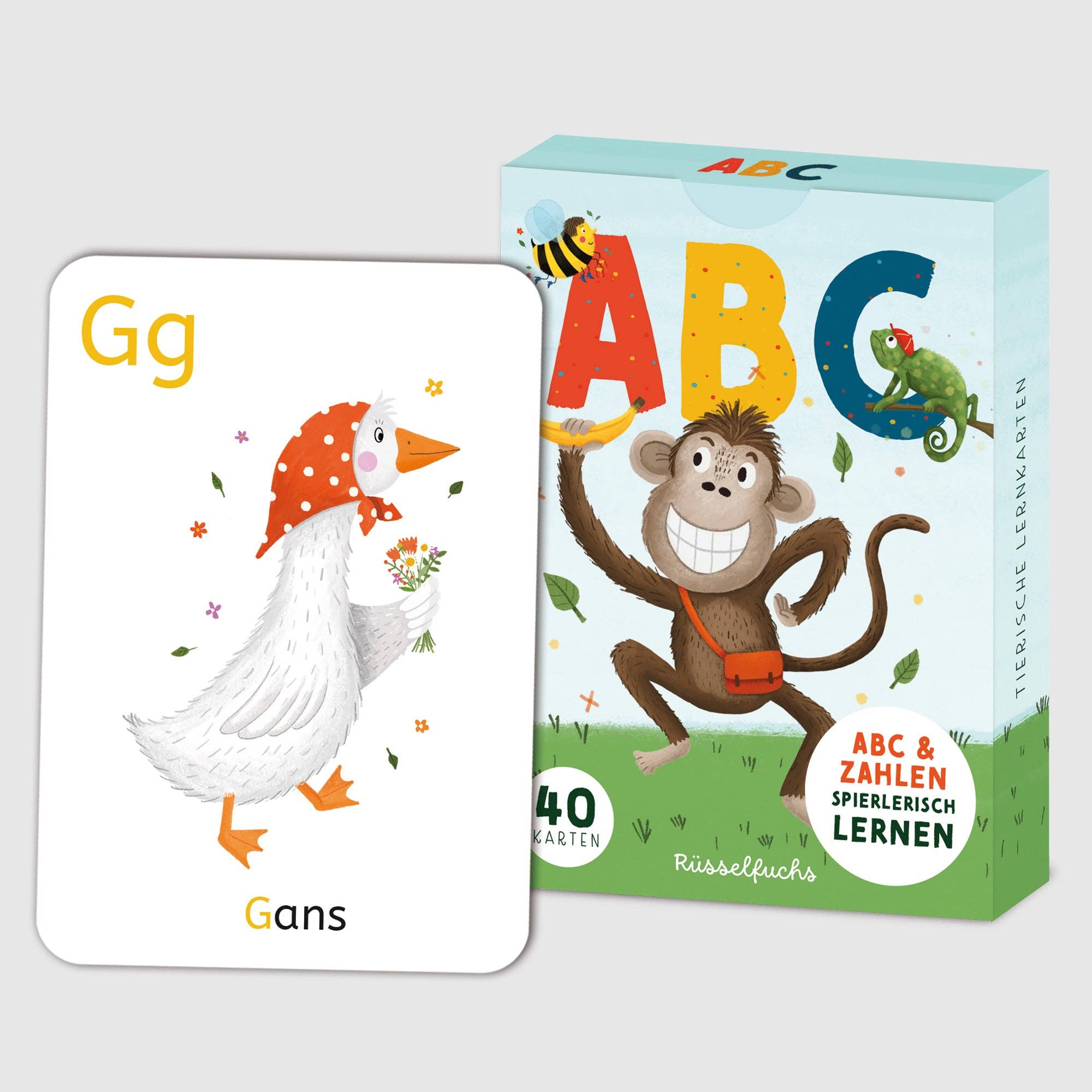 Rüsselfuchs - Wholesale Learning Cards - Kids & Baby - ABC card set with 30 letter cards and 10 number cards7