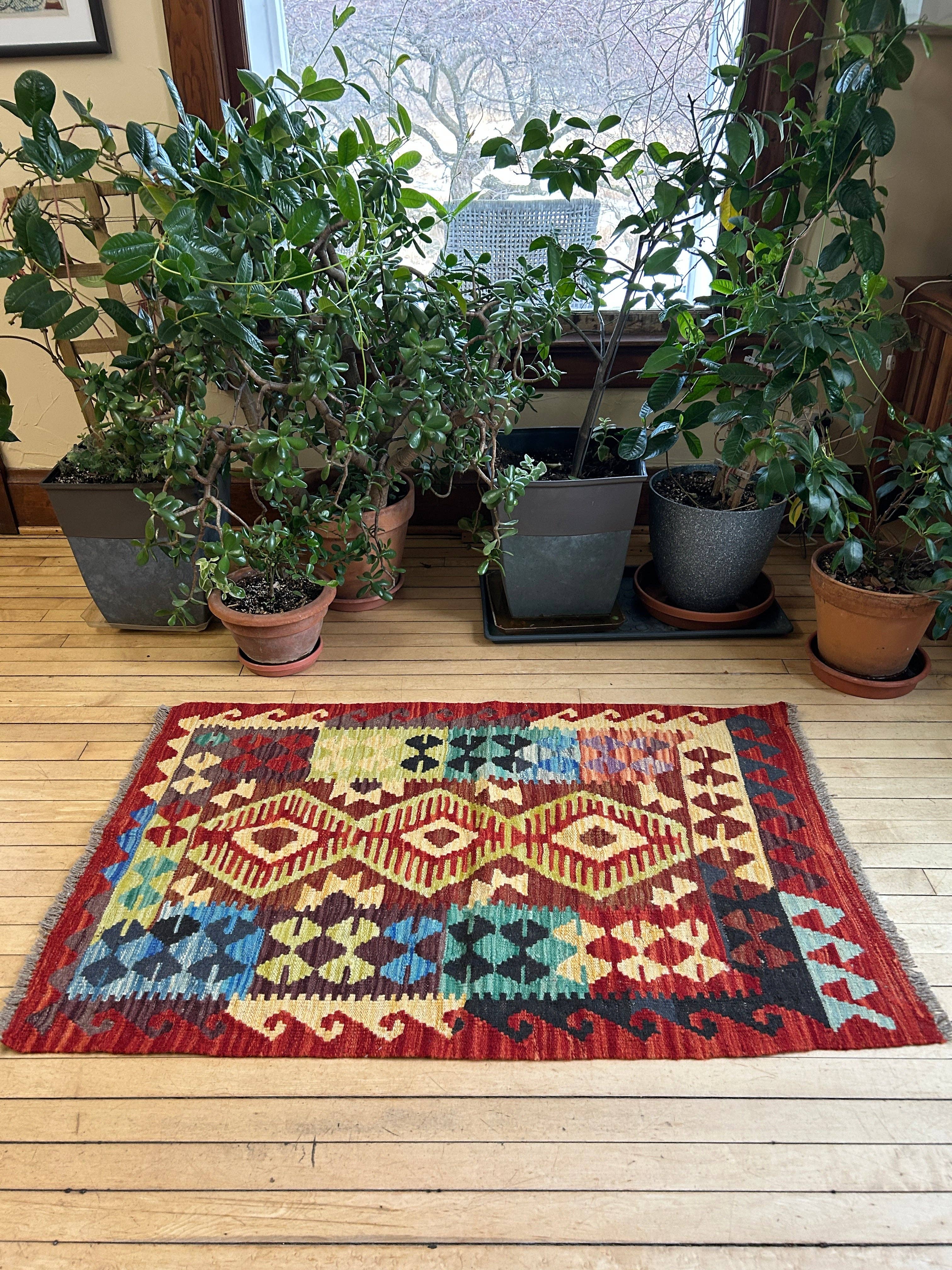 Turkmen Handicrafts - Wholesale Area Rug - Kilim Accent Rug2