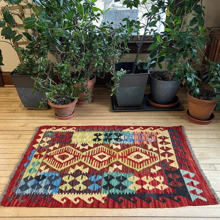 Turkmen Handicrafts - Wholesale Area Rug - Kilim Accent Rug2