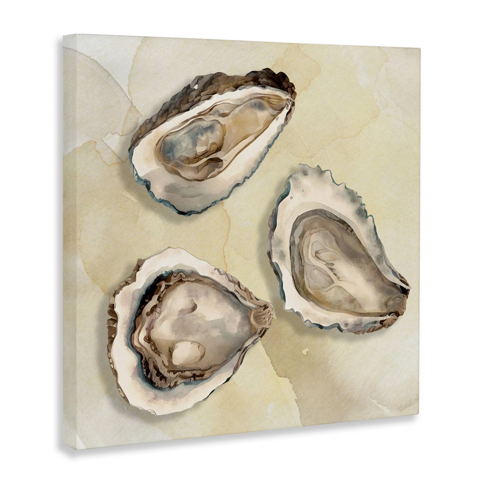 Stupell Industries - Wholesale Wall Sign - Beige Oyster Trio - Unframed Wall Art10