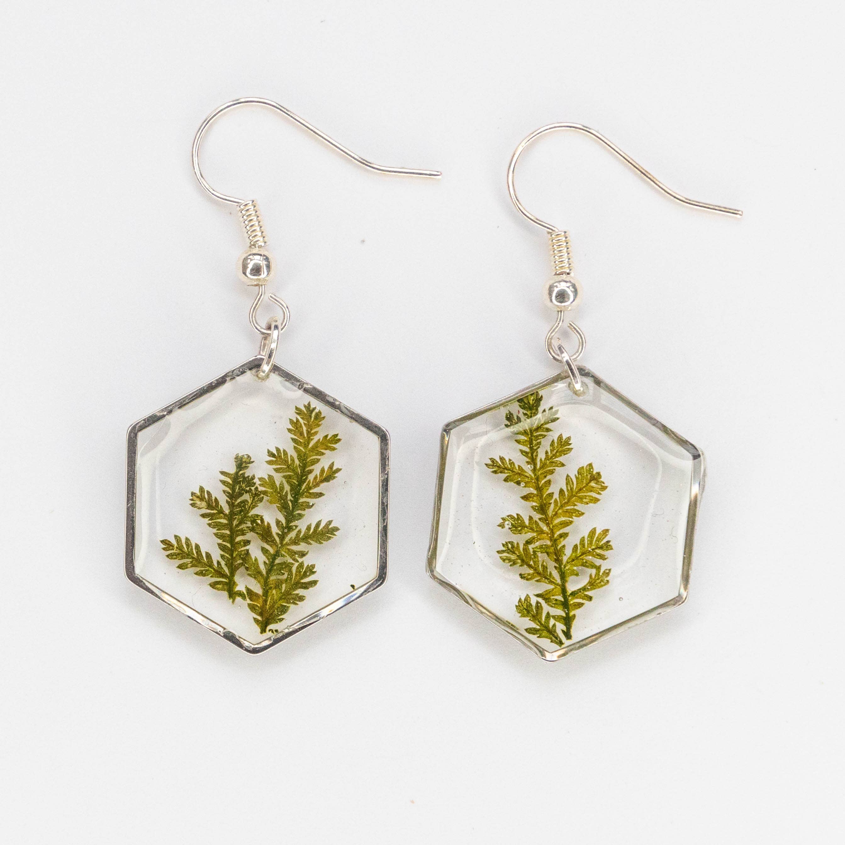 Allie and Posie – wholesale Dangle earrings – Mia hexagon dangle earrings with real dried fern in resin0