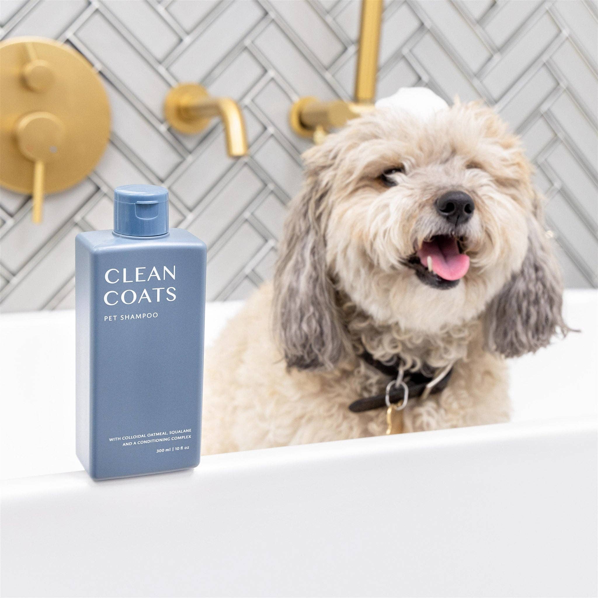 Clean Coats - Wholesale Pet Shampoo - Dog - Dog Shampoo 2 in1 For Itching, Conditioning and Smelly Dogs1