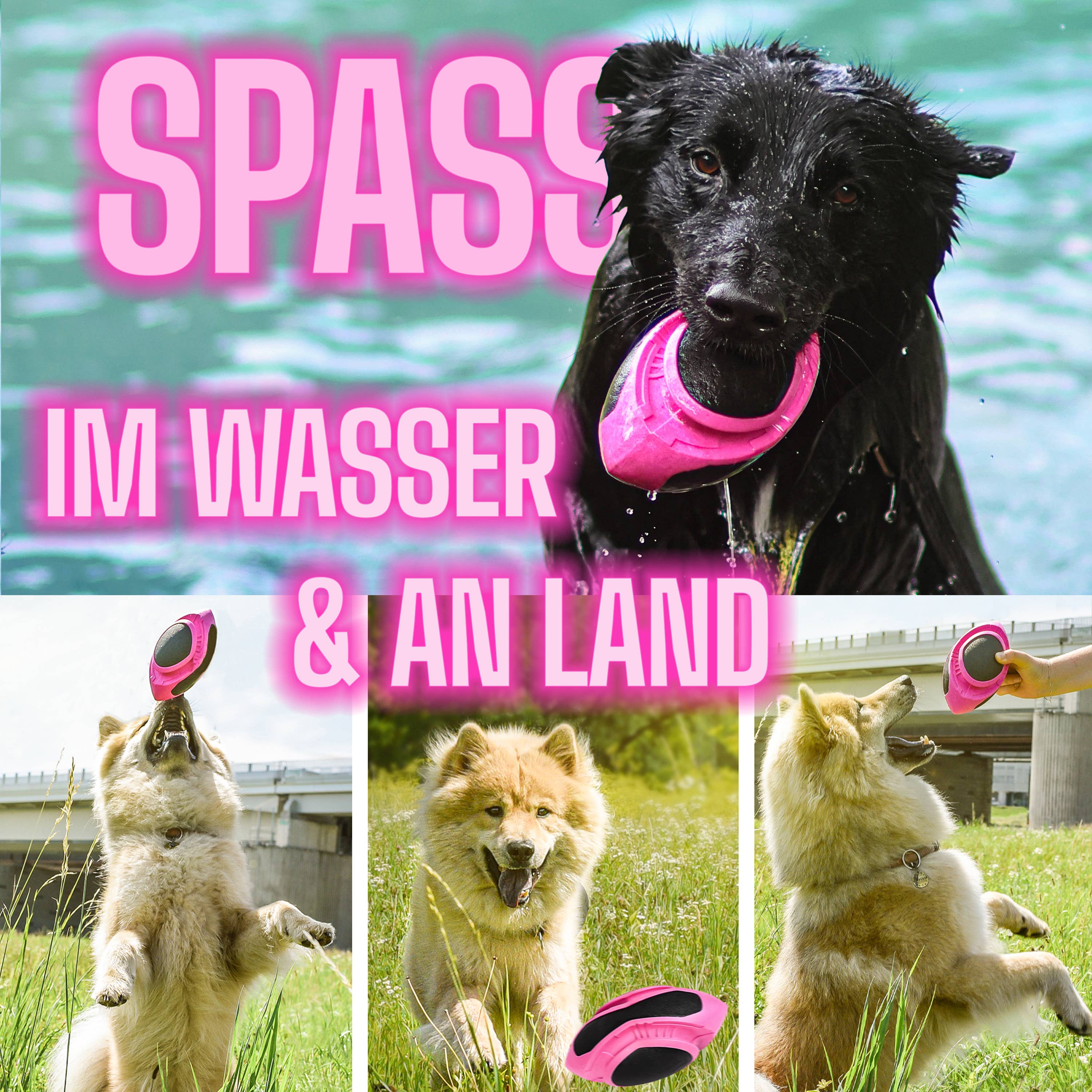 ne&no - Wholesale Pet Fetch Ball - Dog - ne&no® Dog Football – floats – neon pink – Fetch3