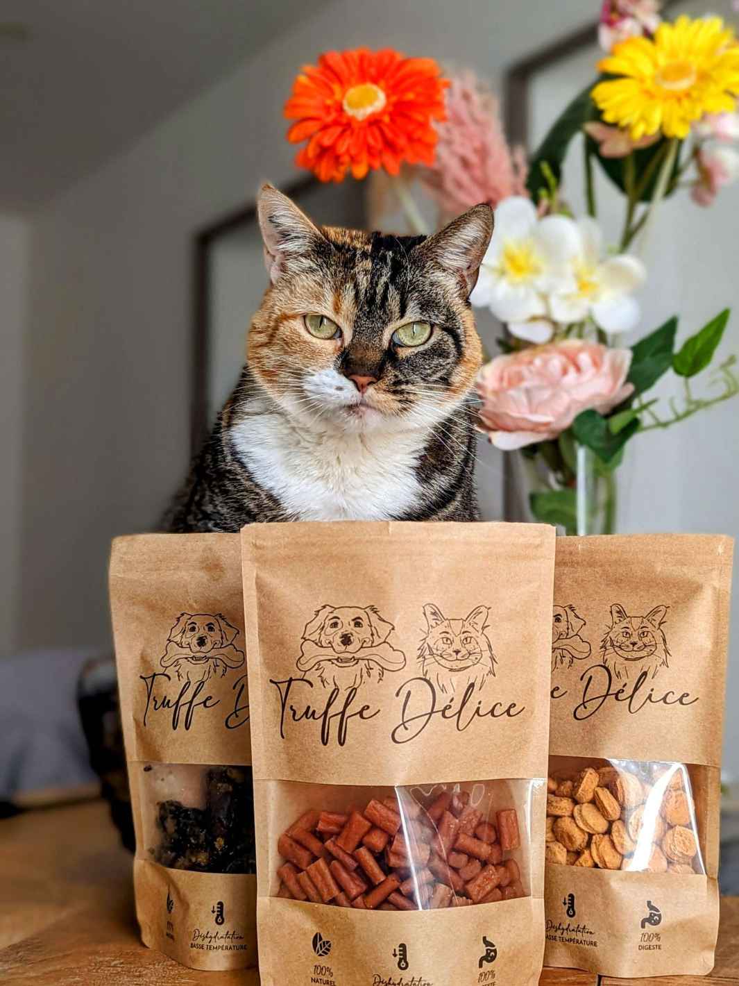 Truffe Délice - Wholesale Pet Treats - Dog - Salmon treats4