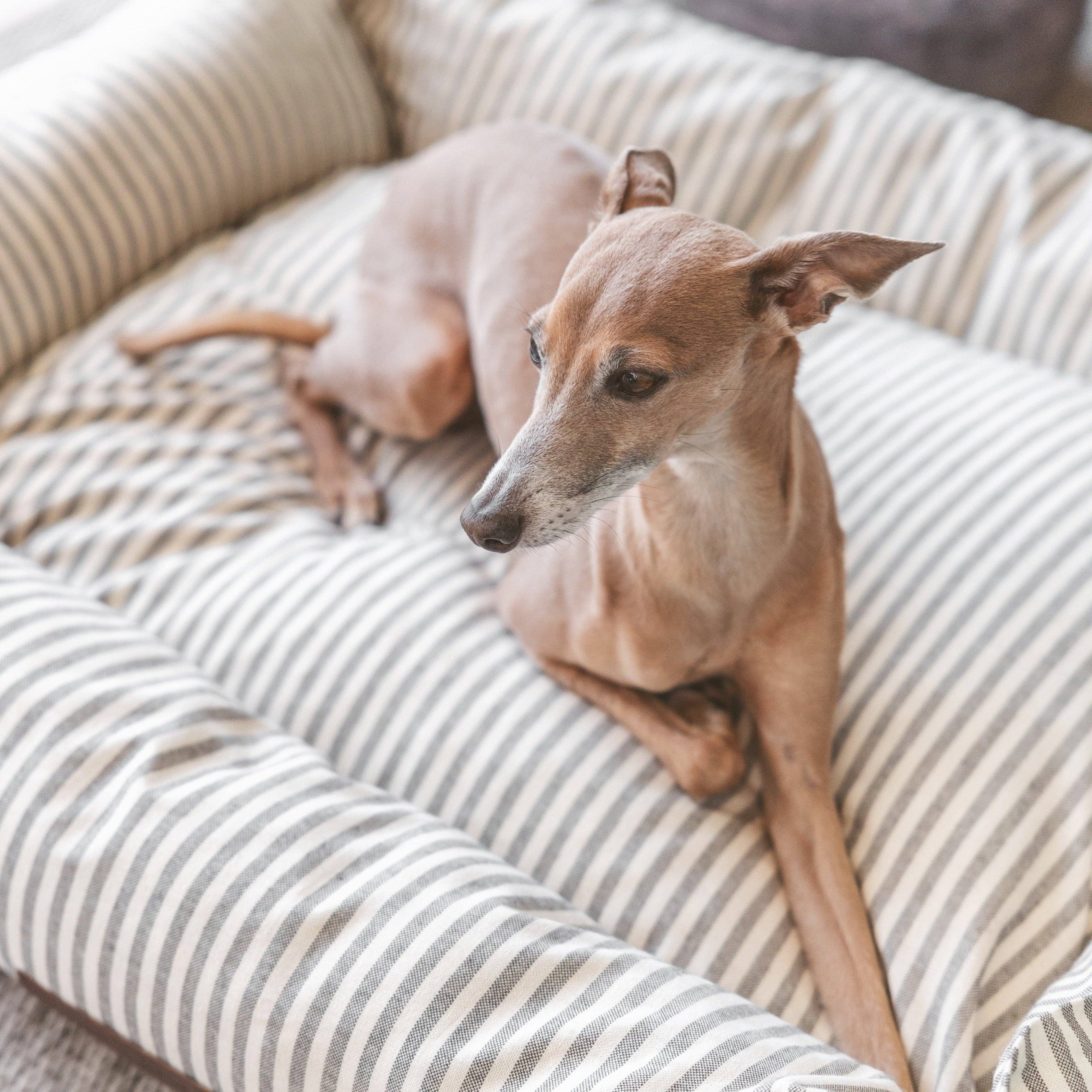 B de Bruno - Wholesale Pet Bed - Dog - Nuck Bed Cover3