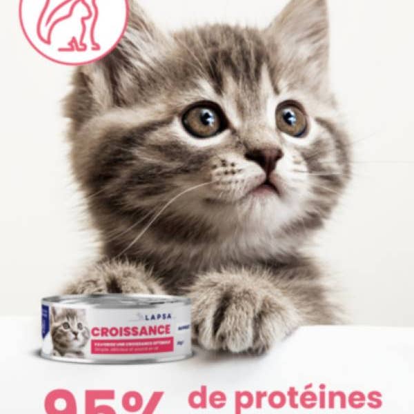 LAPSA – Großhandel Tiernahrung – Katze – Lapsa - Kätzchen-Wachstumsmousse - Huhn - 24x85g2