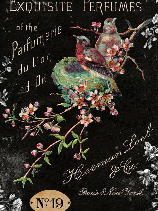 Profumo Vintage Birds — Raggedy Bits Decoupage Paper per la vendita all'ingrosso da parte di Raggedy Bits