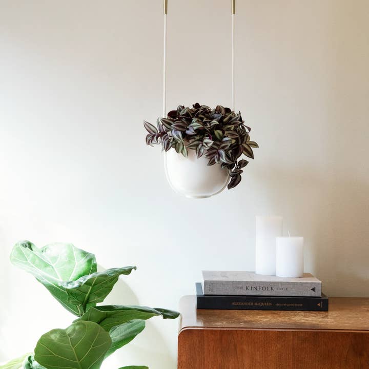 Black Bolo Hanging Planter for wholesale on Faire