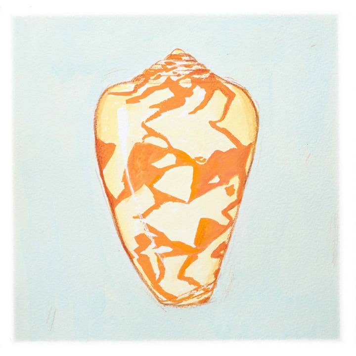 Impressão fine-art de parede Concha #3 - 24x24 por atacado de Holy Kaw Wall Art