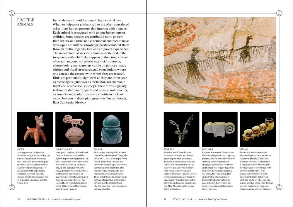 W. W. Norton - Wholesale Body, Mind & Spirit - Shamans6