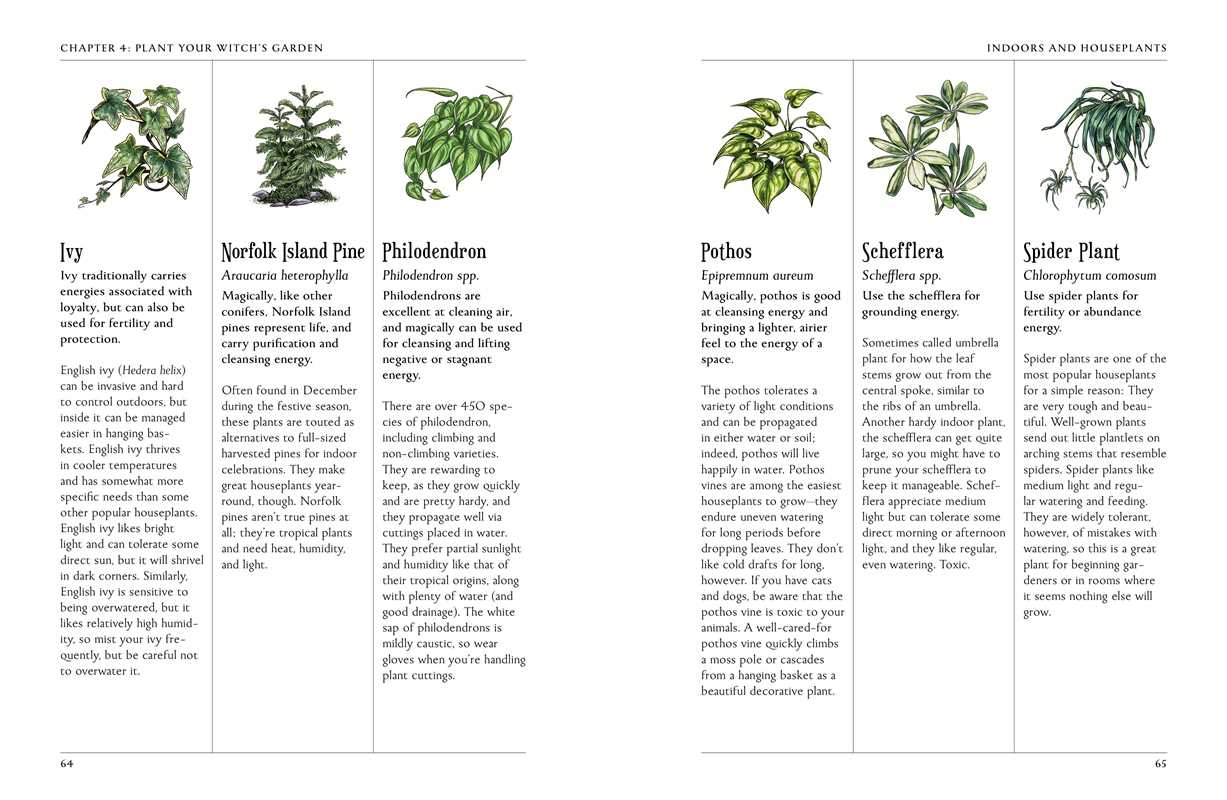 Simon & Schuster - Wholesale Body, Mind & Spirit - Green Witch's Garden by Arin Murphy-Hiscock3