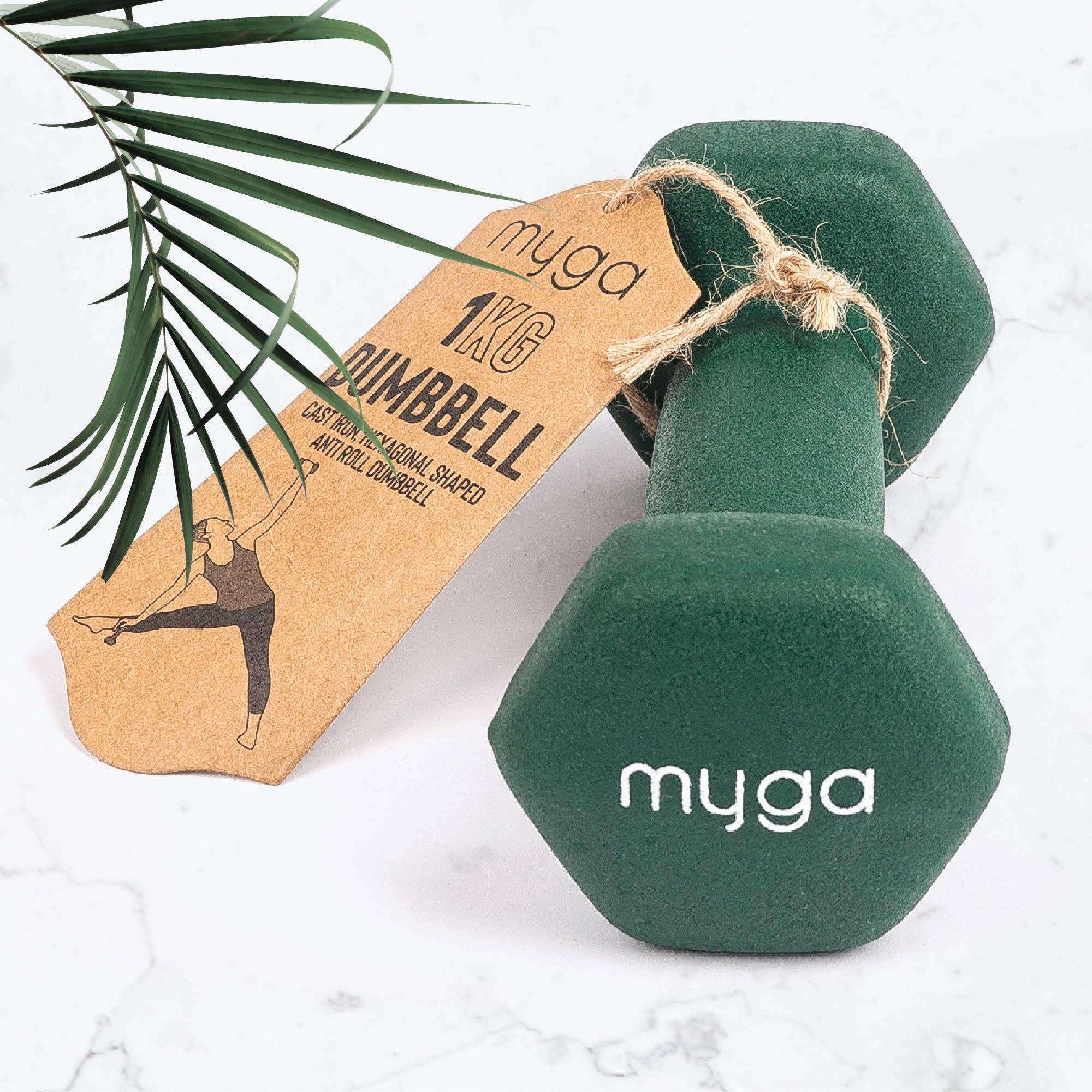 Myga Europe - Wholesale Fitness Equipment - Hexagonal Dumbbells (pair) - 1kg - Dark Green5