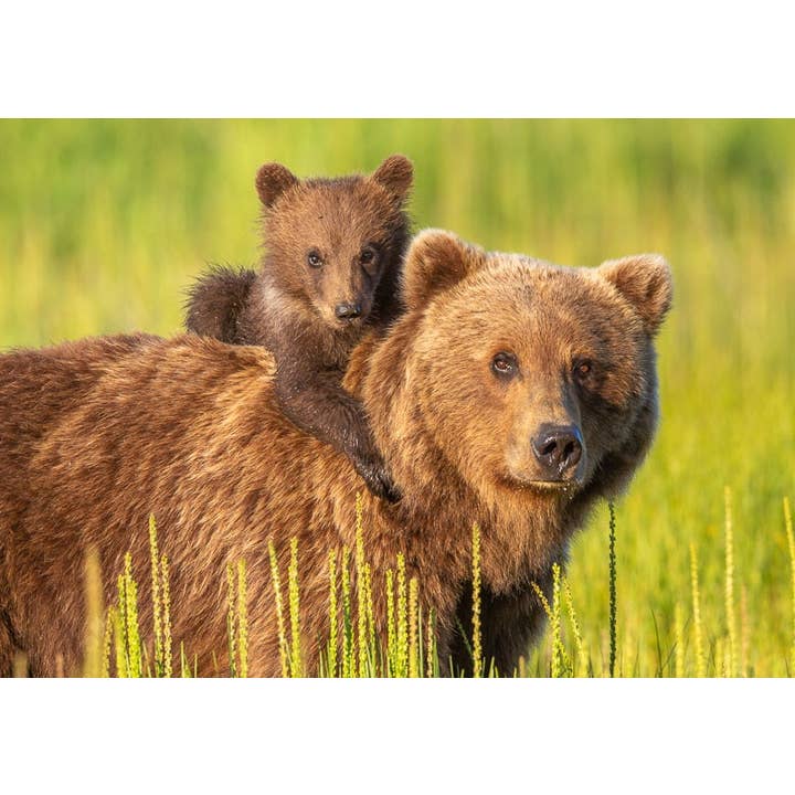 Hang On for wholesale by Greatland Graphics