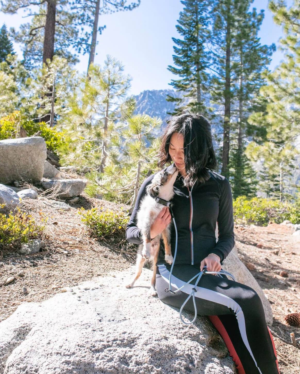 Fable Pets – wholesale Hundkoppel - Hund – Magic Link Handsfree hundkoppel med hålkrage25