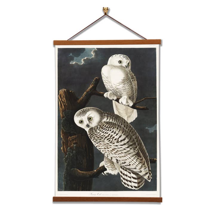 Harfang des neiges de John James Audubon pour la vente par Vintage Banners
