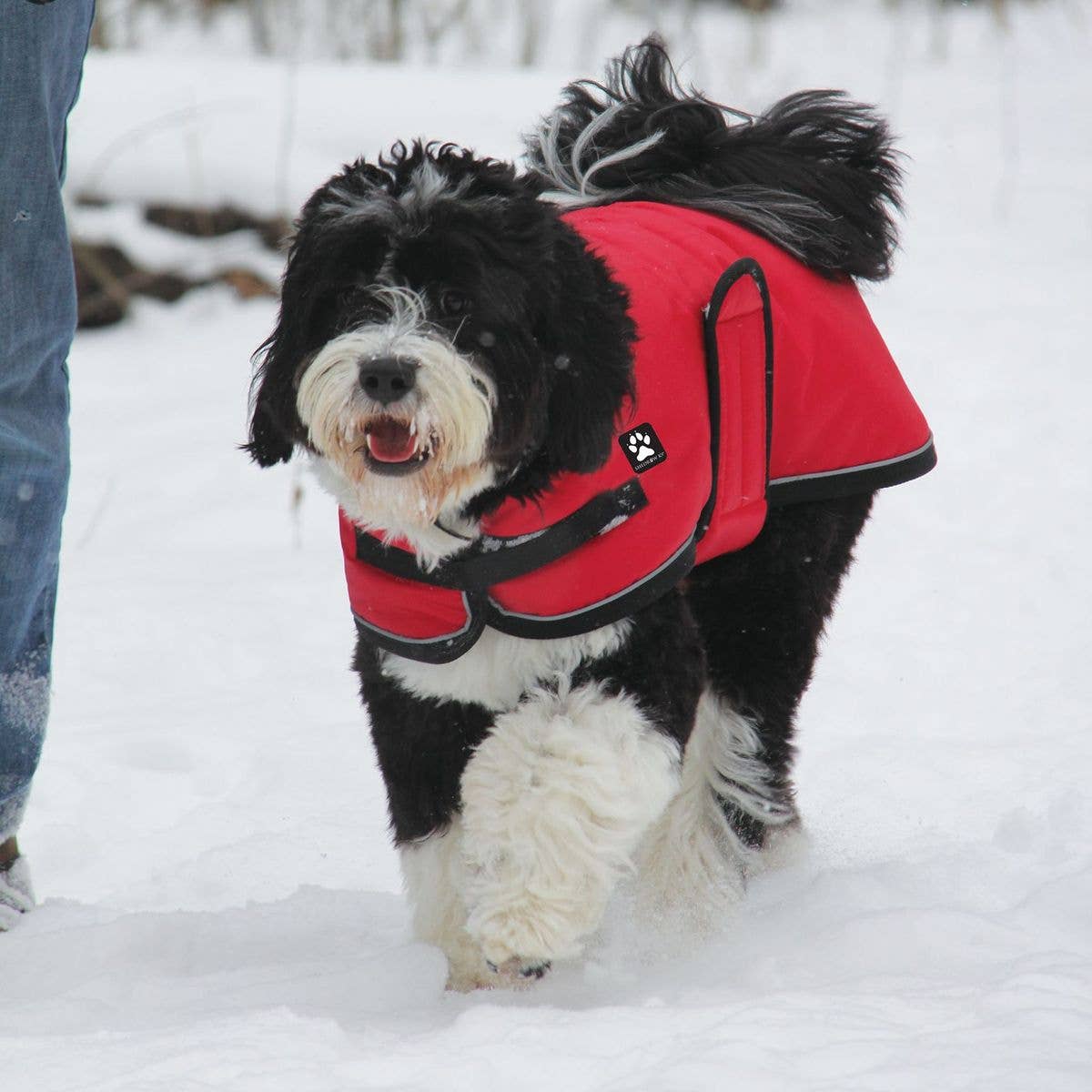 Shedrow K9 - Wholesale Pet Coat - Dog - Shedrow K9 Tundra Dog Coat - Red5