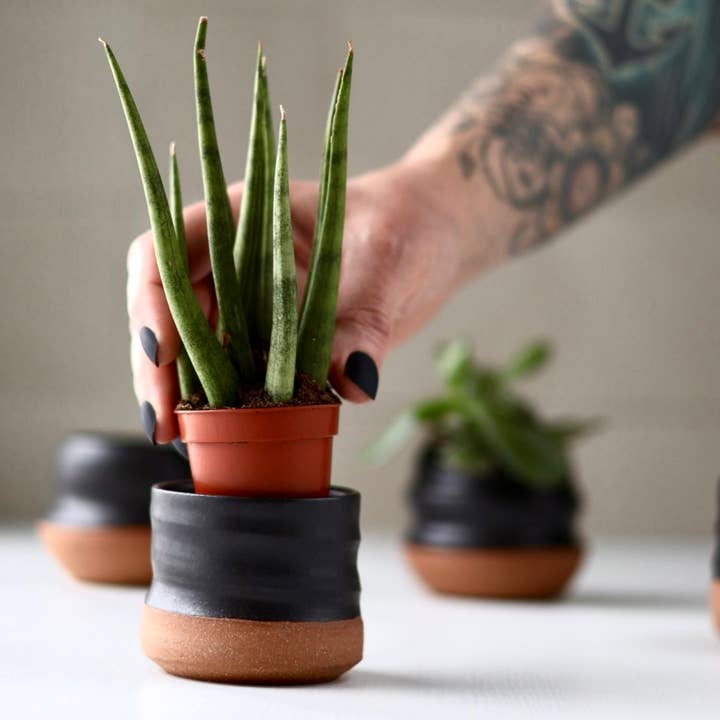 Assorted Small Planter Pots | Black 2 inch handmade for wholesale by Gravesco Pottery