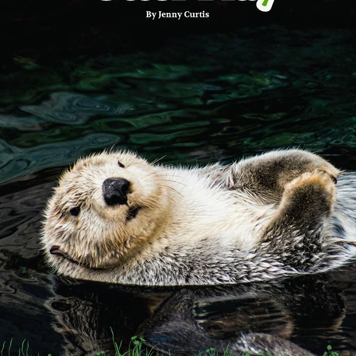 Otter Play edZOOcation Zookeeper Book - Paperback for wholesale by Wildlife Tree