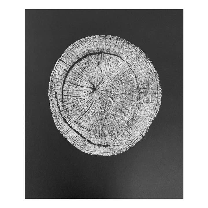 Boomprint „White Oak” - zwart papier voor wholesale door HVRNT Studio