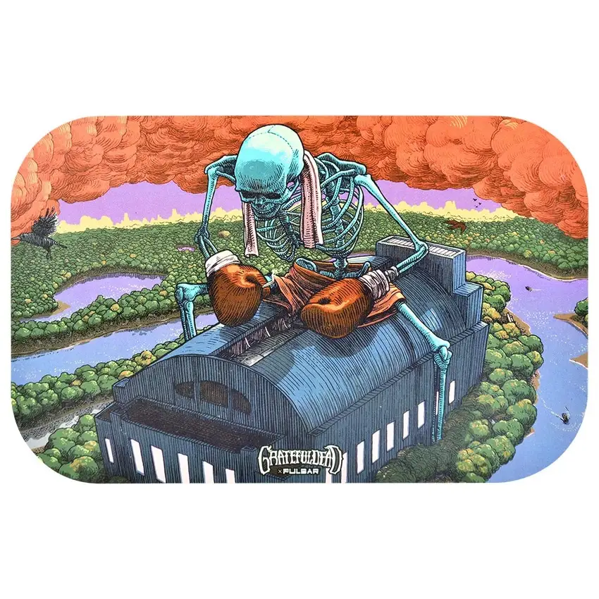 Sunshine Joy – wholesale Decorative tray – The Boxer Grateful Dead Metal Tray w/ Magnetic Lid Cover2