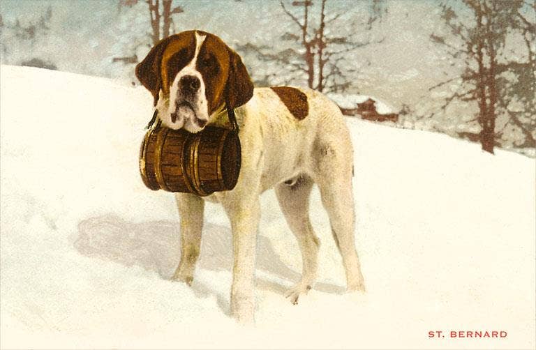 Found Image Press - Vendita all'ingrosso Adesivo - Adesivo WS-15 San Bernardo con Botte di Soccorso0